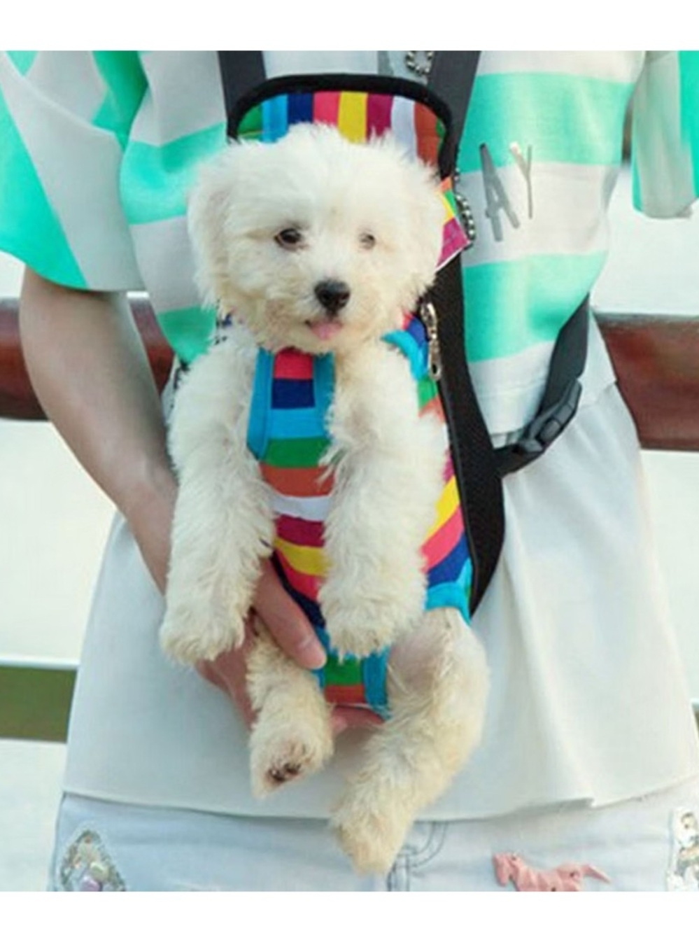 ComfortFit Rainbow Striped Dogor Cat Front Carrier Harness
